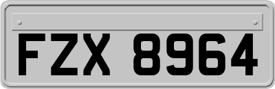 FZX8964