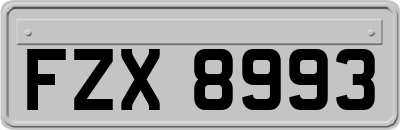 FZX8993