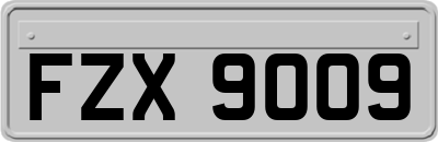 FZX9009