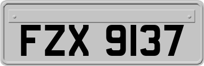 FZX9137