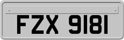 FZX9181
