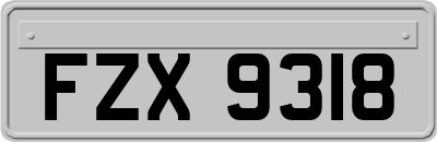 FZX9318