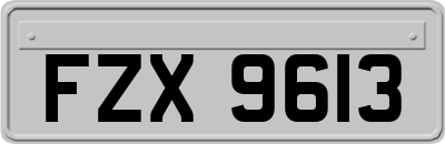 FZX9613