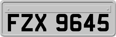 FZX9645