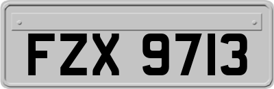 FZX9713