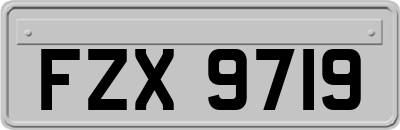 FZX9719
