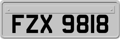 FZX9818