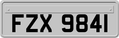 FZX9841