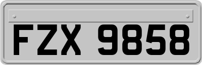 FZX9858