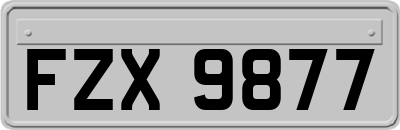 FZX9877