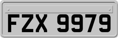 FZX9979