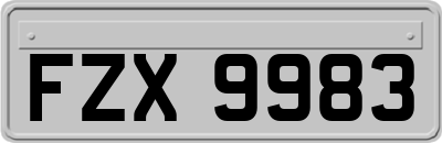 FZX9983