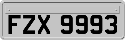 FZX9993