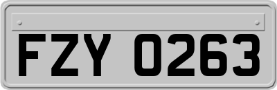 FZY0263