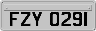 FZY0291