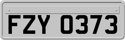 FZY0373