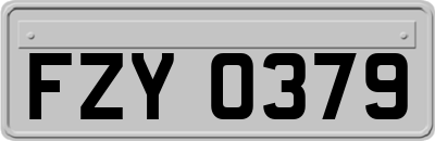 FZY0379