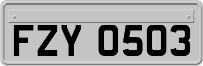 FZY0503