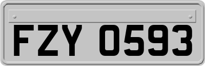 FZY0593
