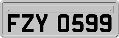 FZY0599