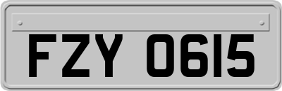 FZY0615