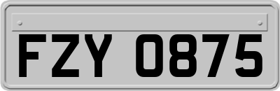 FZY0875