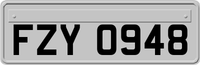 FZY0948