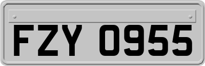FZY0955