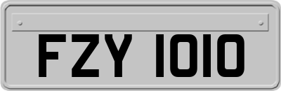 FZY1010