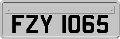 FZY1065
