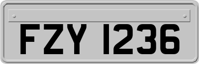 FZY1236