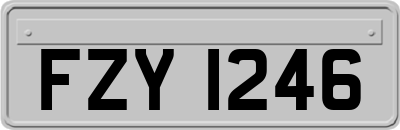 FZY1246