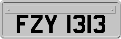 FZY1313