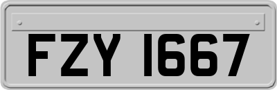 FZY1667