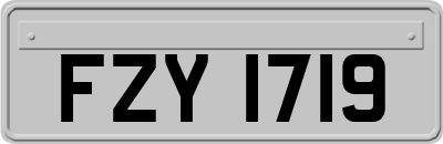 FZY1719