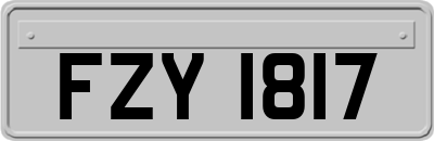 FZY1817