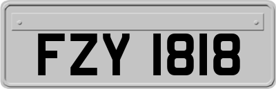 FZY1818