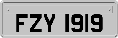 FZY1919