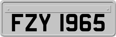FZY1965