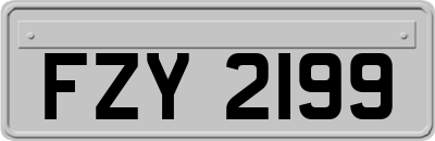 FZY2199