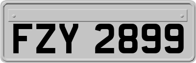 FZY2899