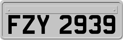 FZY2939