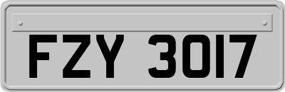 FZY3017