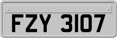 FZY3107