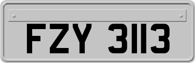 FZY3113