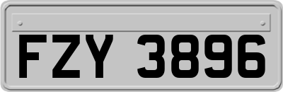 FZY3896