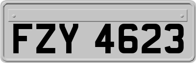 FZY4623