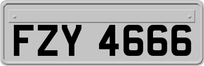 FZY4666
