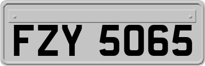 FZY5065