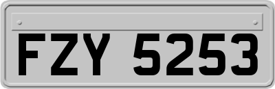 FZY5253